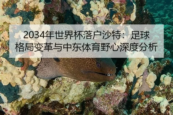 nian-shi-jie-bei-luo-hu-sha-te-zu-qiu-ge-ju-bian-ge-yu-zhong-dong-ti-yu-ye-xin-shen-du-fen-xi-2-424.jpg